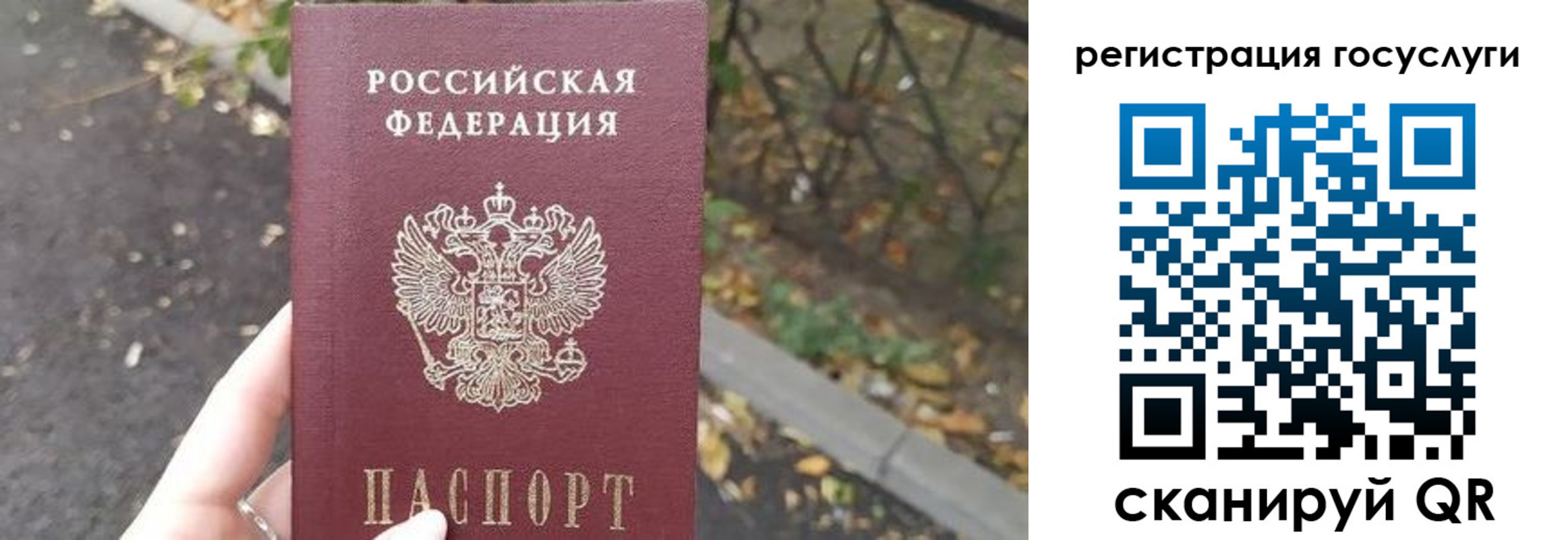 купить прописку в Находке